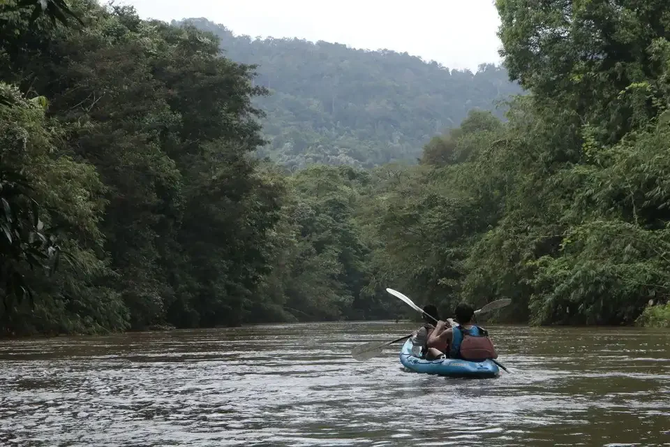 Berkayak di sungai yang dikelilingi hutan hujan dekat Kuching